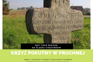 65025136_2419167444788543_5323425617645928448_n