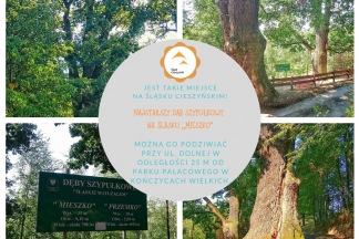 66779169_2453194944719126_836369177802440704_n